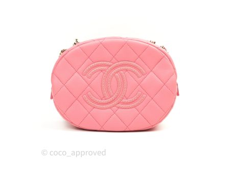 Chane Quilted Camera Pink Lambskin Gold Hardware For Sale