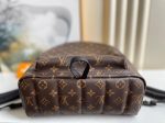 Louis Vuitton Palm Spring Mini Bag Hot on Sale