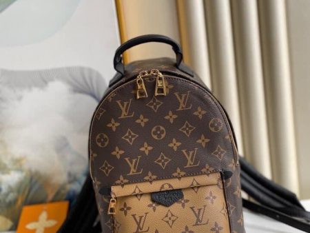 Louis Vuitton Palm Spring PM bag For Cheap