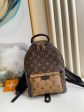 Louis Vuitton Palm Spring PM bag For Cheap