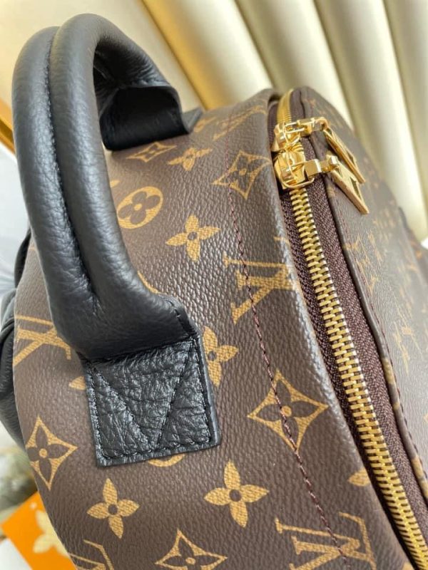 Louis Vuitton Palm Spring Mini Bag Hot on Sale