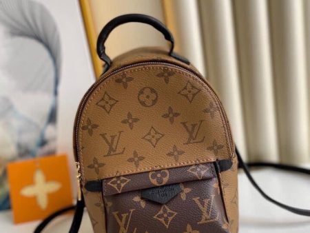 Louis Vuitton Palm spring Mini bag Sale