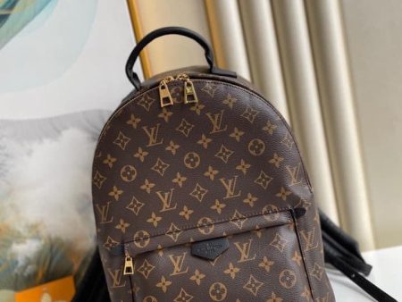 Louis Vuitton Palm Spring Mini Bag Hot on Sale