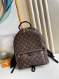 Louis Vuitton Palm Spring Mini Bag Hot on Sale