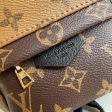 Louis Vuitton Palm spring Mini bag Sale